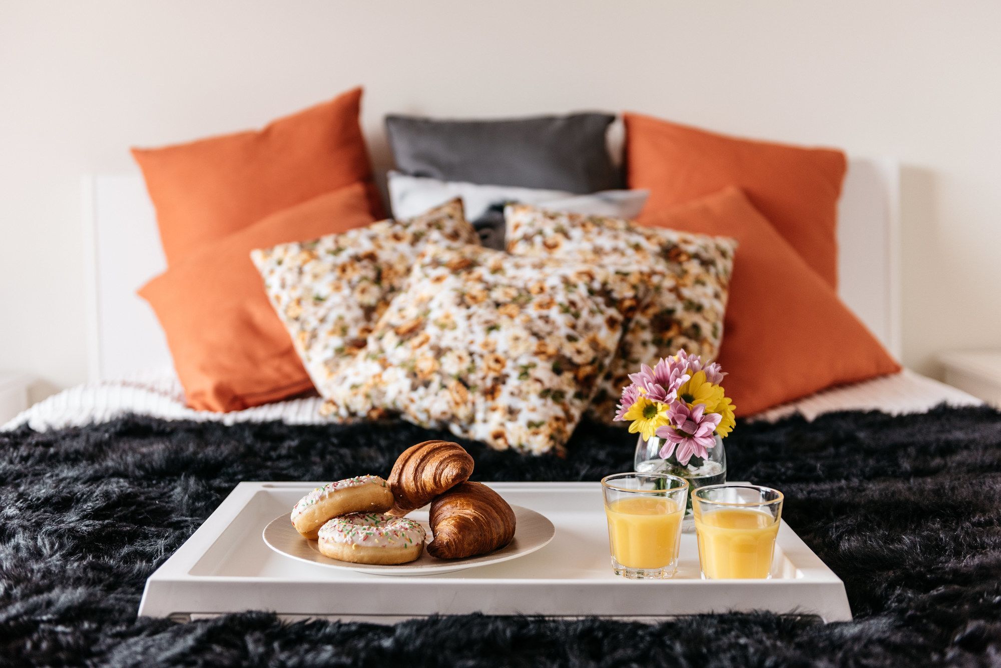 Rakowicka 20B Apartment Novum Краків Екстер'єр фото